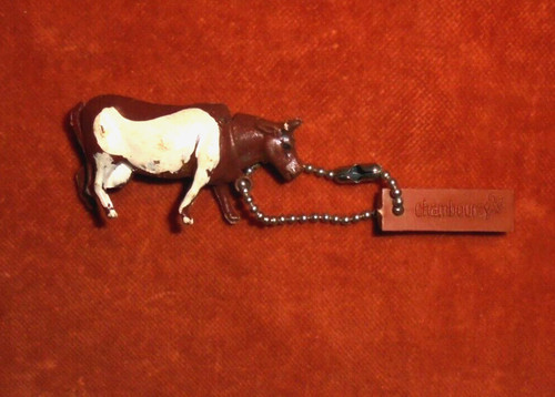 Porte clés key - ring, jolie