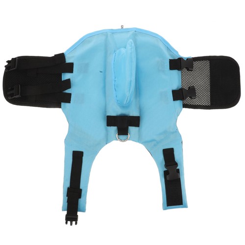 Accessoires pour chien puppy - pour,
