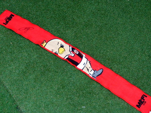 Mini echarpe ogc nice - nice, ogcn
