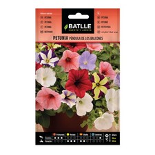 Petunia TOMBANTE des BALCONS