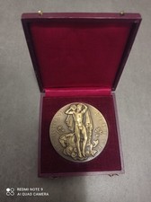 Médaille “1940-1945 Rhône – Rhin – Rivières – Dieu – Art Français”