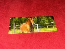 Carte Dédicacée Autograph