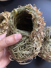 Nids d’oiseaux authentiques Tisserin - Lot de 4