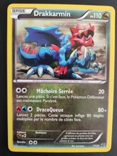 Carte Pokémon Drakkarmin Holo