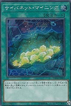 Carte dane jp051 - carte, dane-jp051