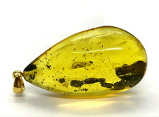 Pendentif Ambre Insecte Cadeau