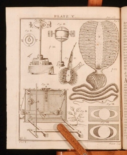 1738 memoirs the royal - 1738,
