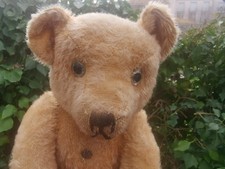  Ours ancien Pintel avec