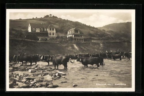 Carte postale altenbrak - postale, /