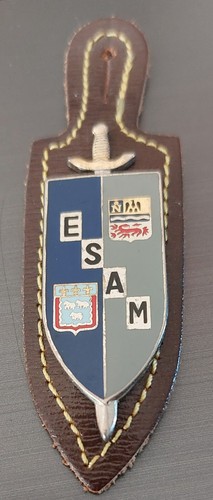 Insigne esam sur - insigne,