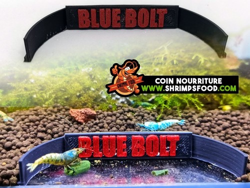 Coin repas pour - pour, crevettes