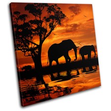 Elephant African Sunset