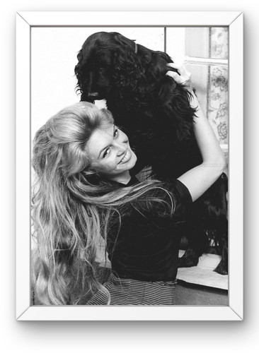 Brigitte bardot framed photo - brigitte,