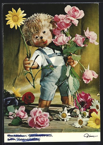 Fils hérisson mecki - fils, avec