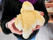 》》Superbe Gogotte de