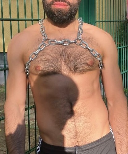 Harnais chaîne - harnais, en