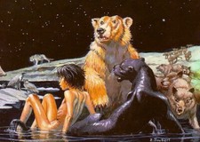 Le Livre De La Jungle. Histoire De Mowgli Broché – 1 juin 1989 Pierre Joubert