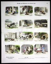 1890 Chien Chiens Enfants Jeu Jouer Münchener Bilderbogen