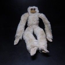 N25.267 Singe Ouistiti Brésil