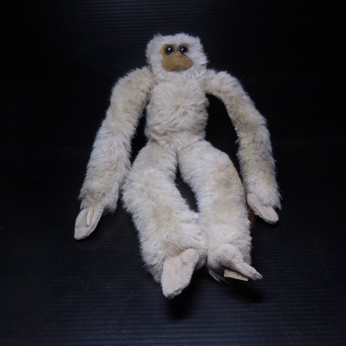N25 267 singe ouistiti brésil - n25.267,