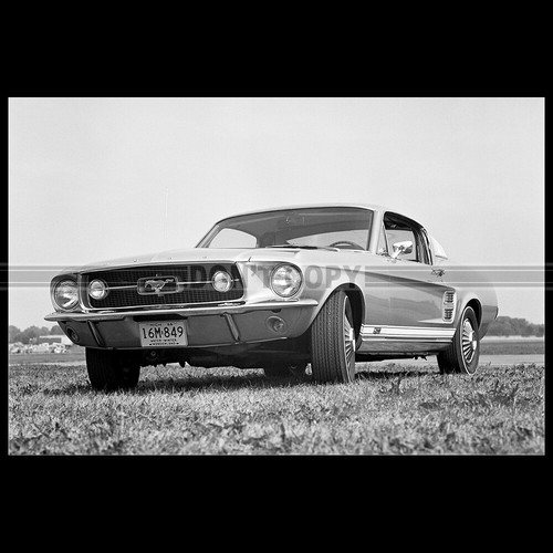 Photo 035270 ford mustang - photo, gt