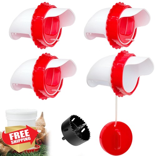 Cilkus pack chicken feeder - 4,