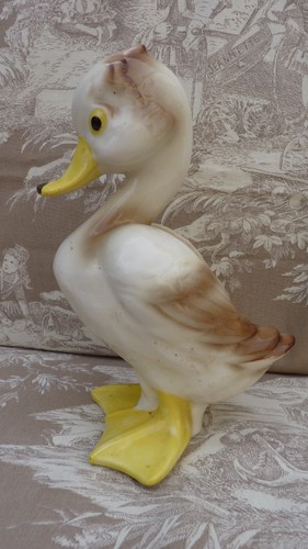 Petit canard style - canard,