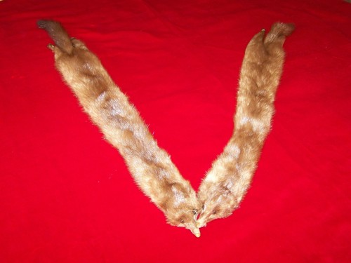 Echarpe vison - echarpe,