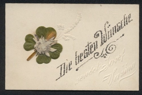 Carte postale fleurs - postale,