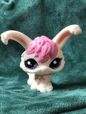 💖🌺 petshop lapin angora