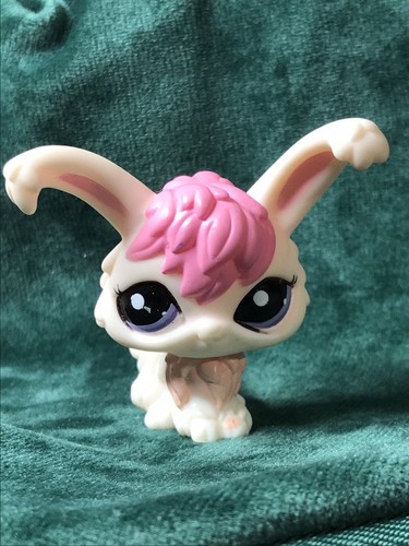 Petshop lapin angora - petshop,