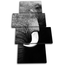 Elephant Wildlife Animals