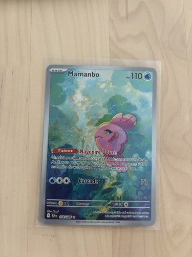 Mamanbo 108 086 - mamanbo, carte