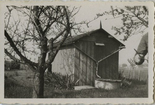 Photo ancienne vintage - photo,