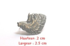 Tête de sanglier  Ardennais