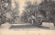 Mauritius - PAMPLEMOUSSES - Avenue du Tombeau de Paul et Virginie - Ed. inconnu