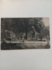 R477 - Ancienne carte postale