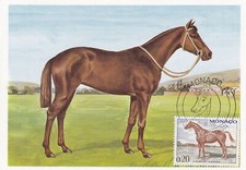 Carte postale postcard 1er