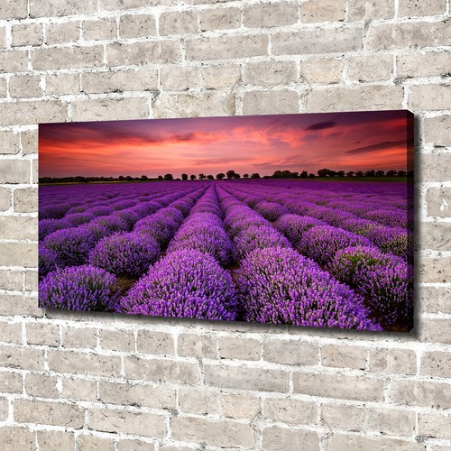 Tulup image sur toile - sur, tableau