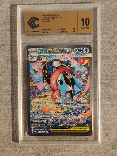 Ccc gold label - ccc, 10