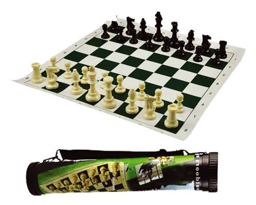 Jeu échec voyage tube - jeu, d'échec