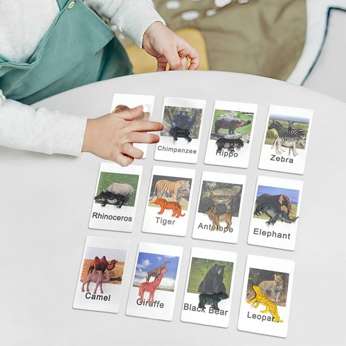 Pcs animal correspondant - 12,