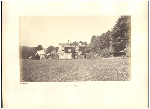 Collodion luscombe vintage - luscombe,