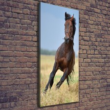 Tulup Tableau Sur Toile Image Imprimé 50x125 - Cheval sur le terrain