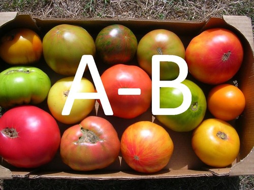 50 varietes de tomate - 🍅,