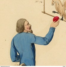 Costume Moyen age Fauconnier Gravure originale aquarelle XIXe