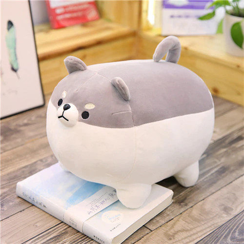 50cm mignon dessin shiba - mignon,