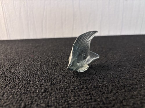 Poisson vert gris clair - , en