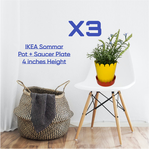 Ikea sommar plant - sommar,
