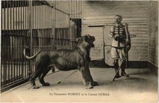 PC DOMPTEUR ROBERT LIONNE